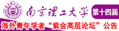 PRED-526南京理工大学第十四届海外青年学者紫金论坛诚邀海内外英才！